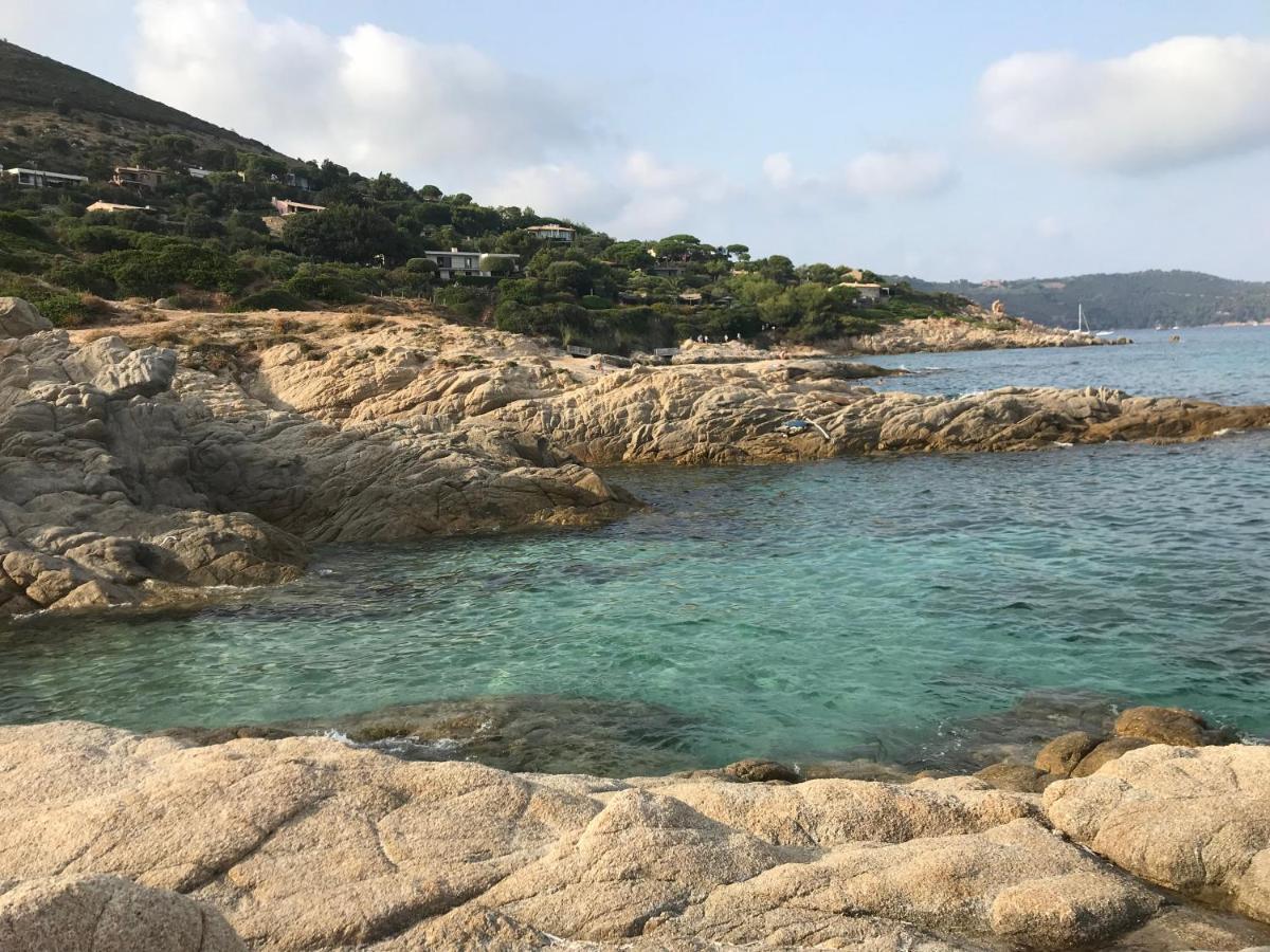 Appartement Vue Mer Golfe De Saint-Tropez 孔格林 外观 照片